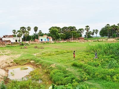 Bazidpur Photo 9