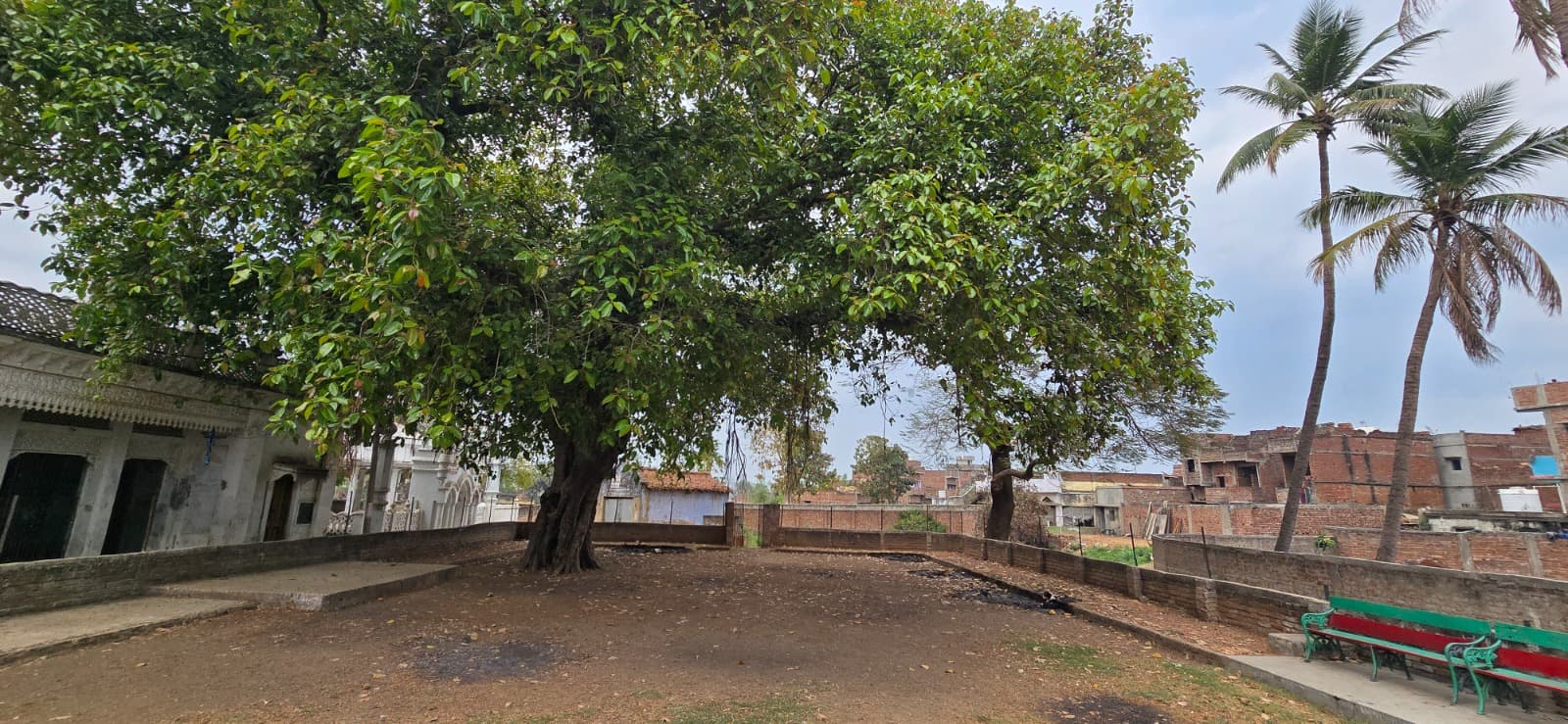 Bazidpur photo 6